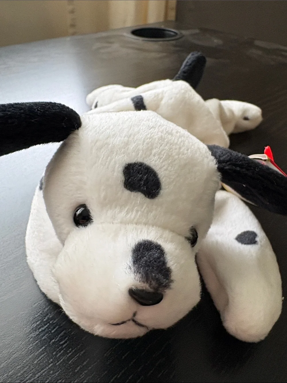 Ty Beanie Babies Plush Dog Set - Brown, Tan, White, Black